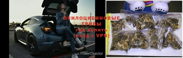 амф Навашино