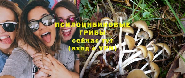 2c-b Нефтекумск